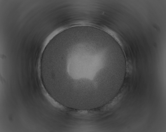 X0000090991098200708021517