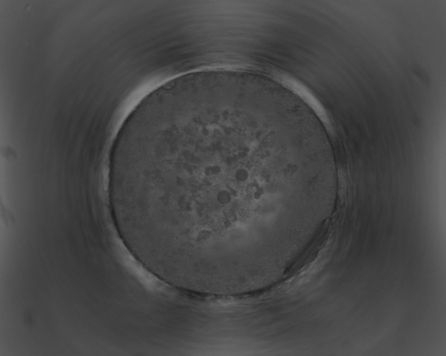 X0000090991099200708021517