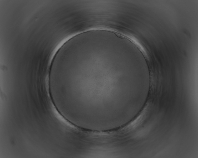 X0000090991100200708021517