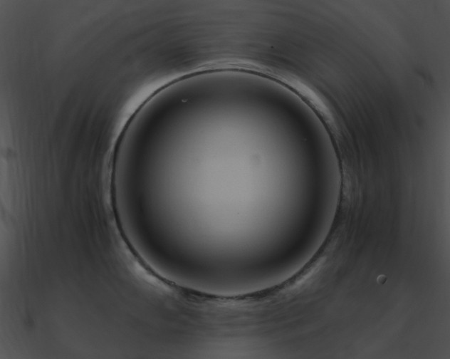 X0000090991102200708021517