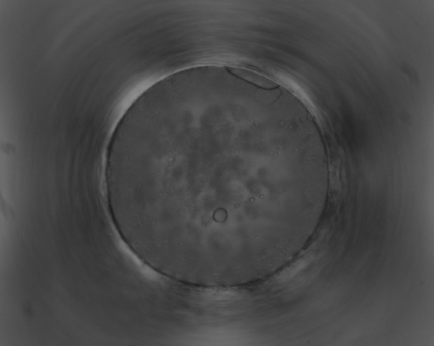 X0000090991103200708021517