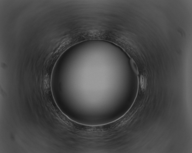 X0000090991107200708021516