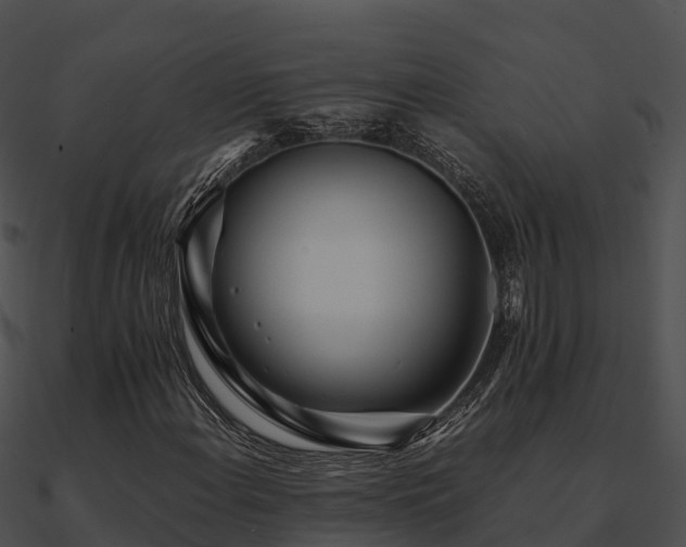 X0000090991108200708021516