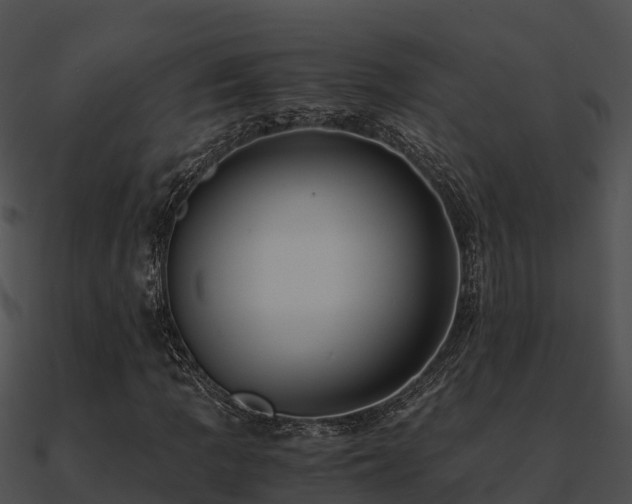 X0000090991109200708021516