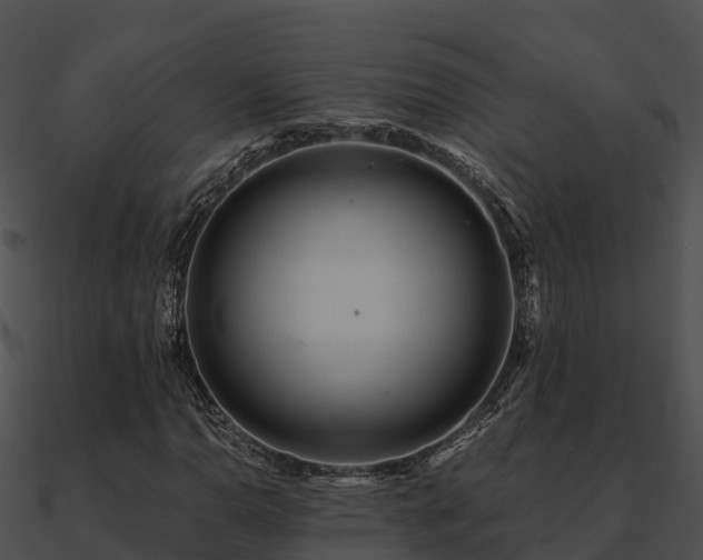 X0000090991110200708021516