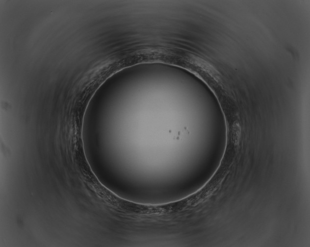 X0000090991111200708021516