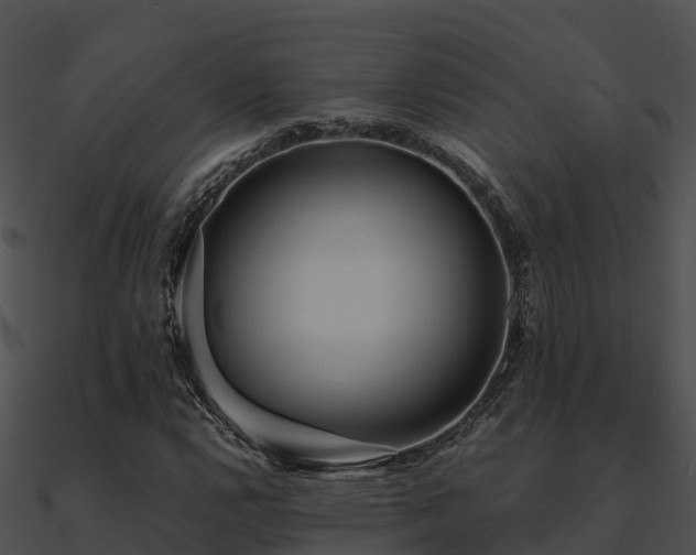 X0000090991112200708021516