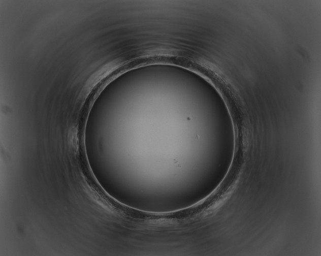 X0000090991113200708021516