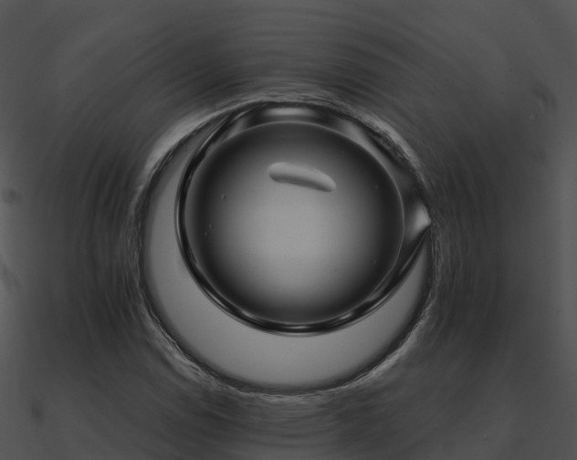 X0000090991114200708021516