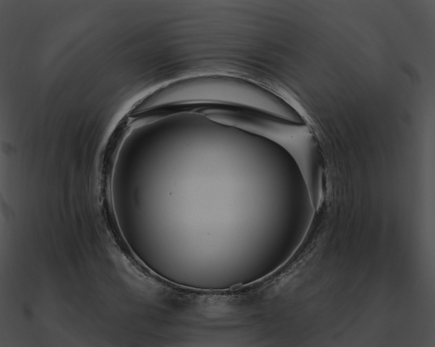 X0000090991116200708021516