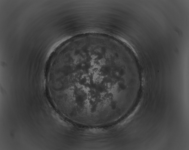 X0000090991117200708021516