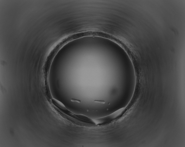 X0000090991118200708021516