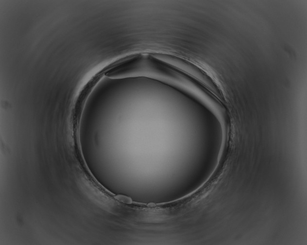 X0000090991120200708021516