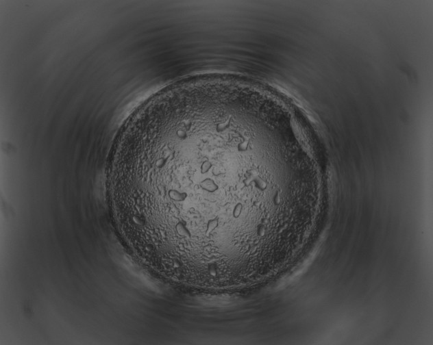X0000090991121200708021516