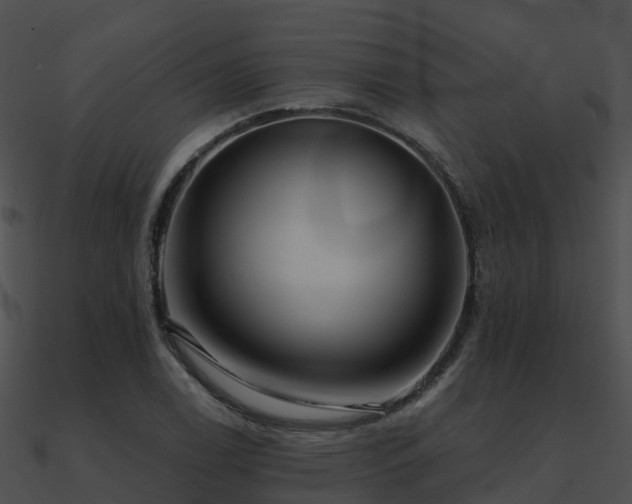 X0000090991122200708021516