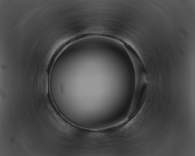 X0000090991123200708021516