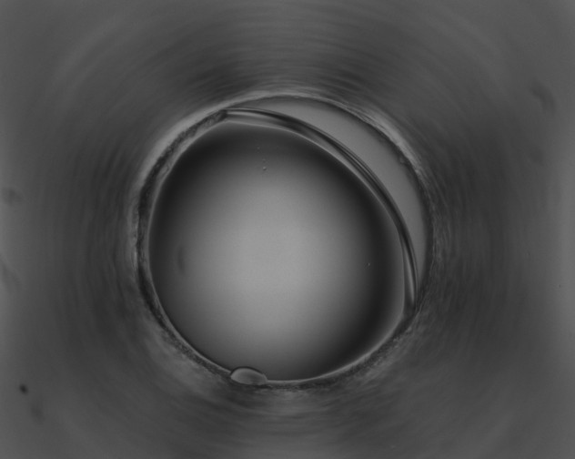 X0000090991124200708021516