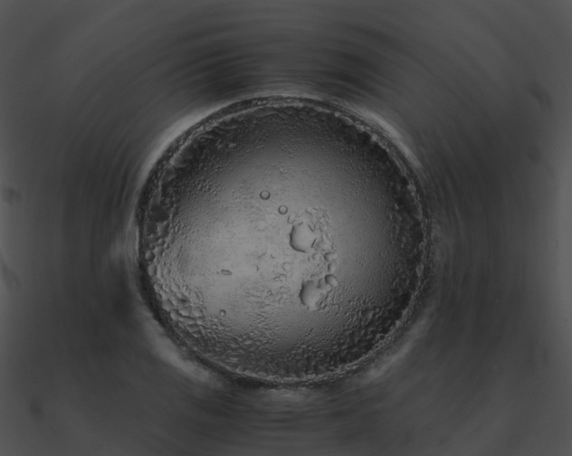 X0000090991125200708021516
