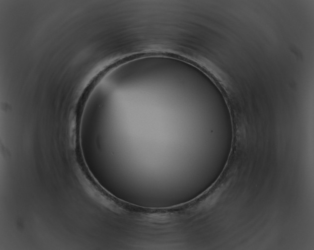 X0000090991126200708021516
