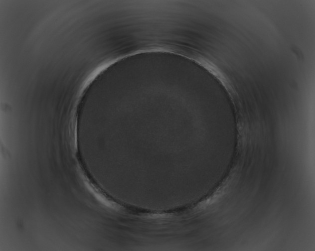 X0000090991127200708021516
