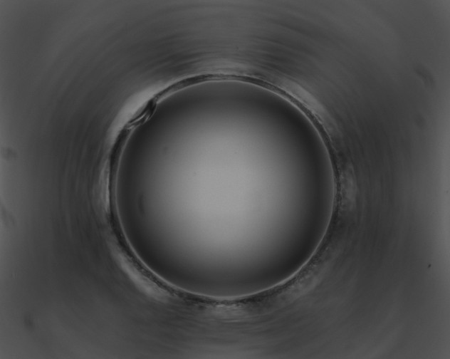 X0000090991128200708021516