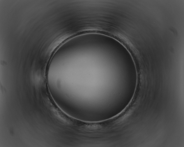 X0000090991129200708021516