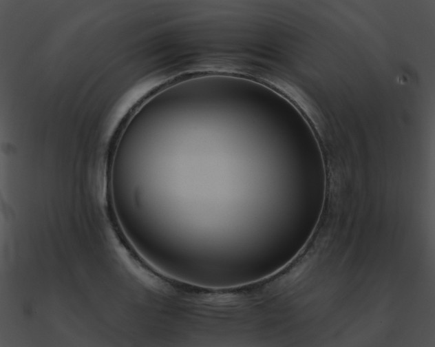 X0000090991131200708021516