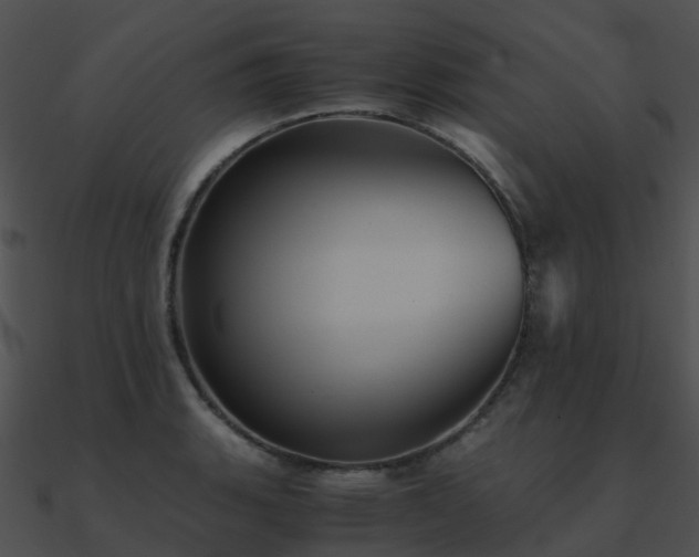 X0000090991135200708021516