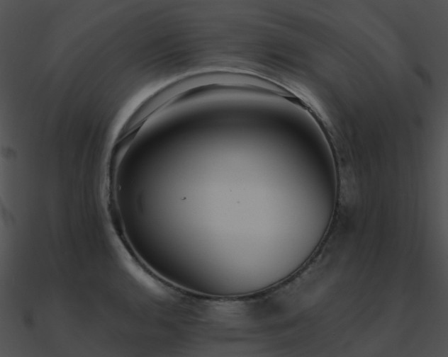 X0000090991136200708021516