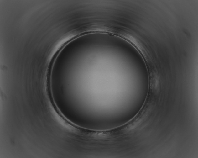 X0000090991139200708021516