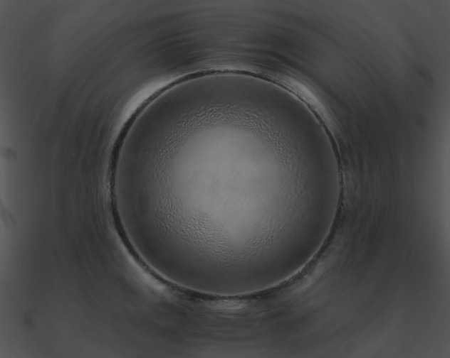X0000090991141200708021516