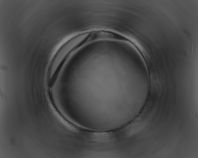 X0000090991142200708021516