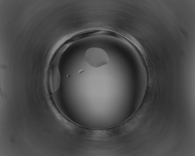 X0000090991144200708021516