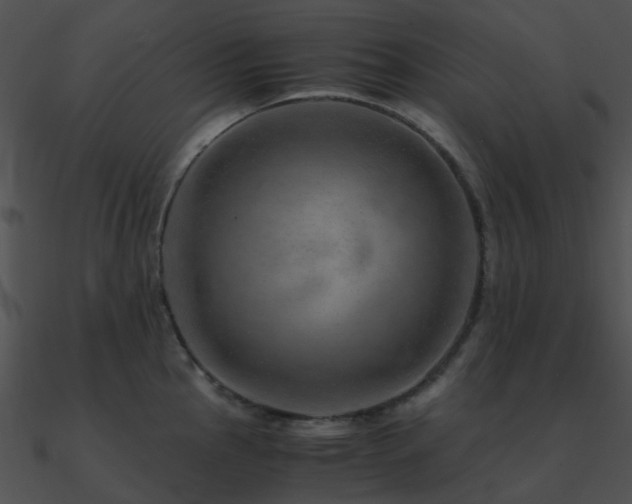 X0000090991145200708021516