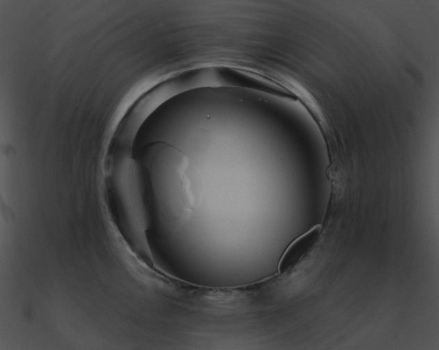 X0000090991146200708021516