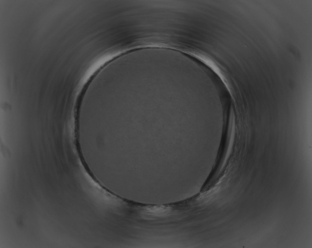 X0000090991147200708021516