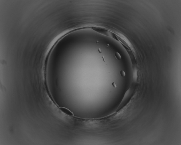 X0000090991148200708021516