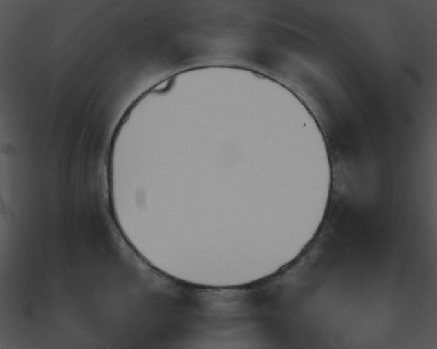 X0000090991150200708021517