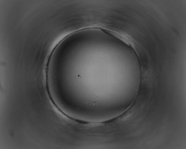 X0000090991151200708021517
