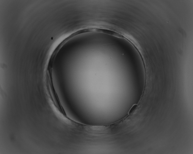X0000090991152200708021517