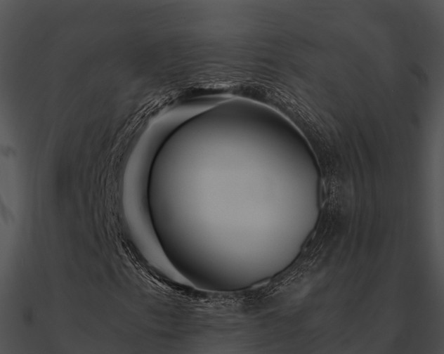 X0000090991153200708021516