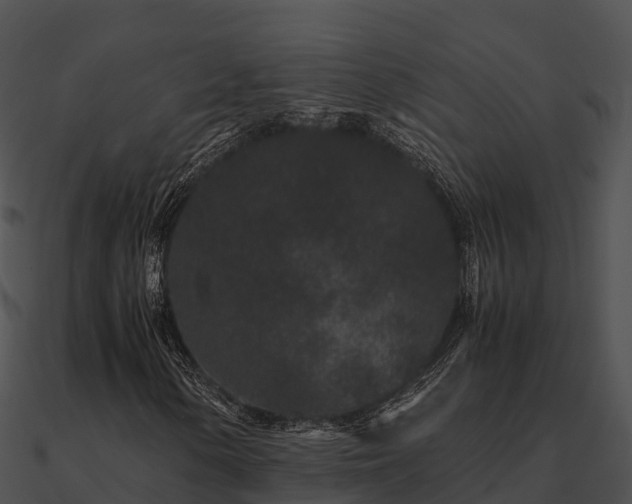 X0000090991154200708021516
