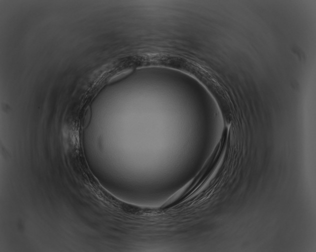 X0000090991155200708021516