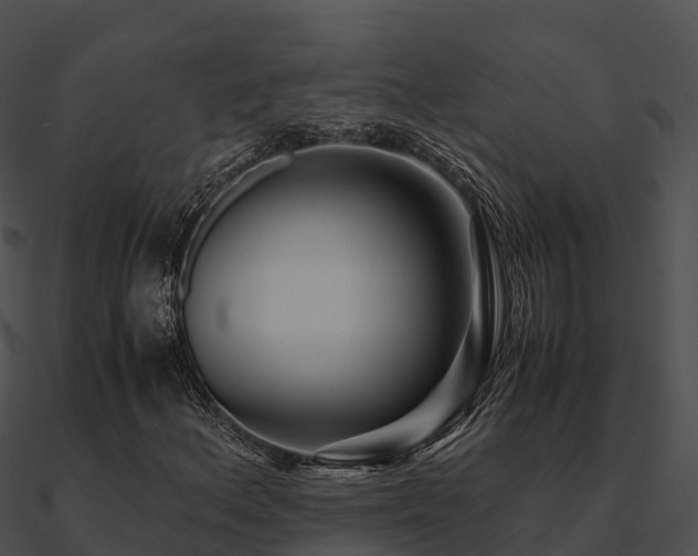 X0000090991156200708021516
