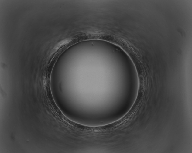 X0000090991157200708021516
