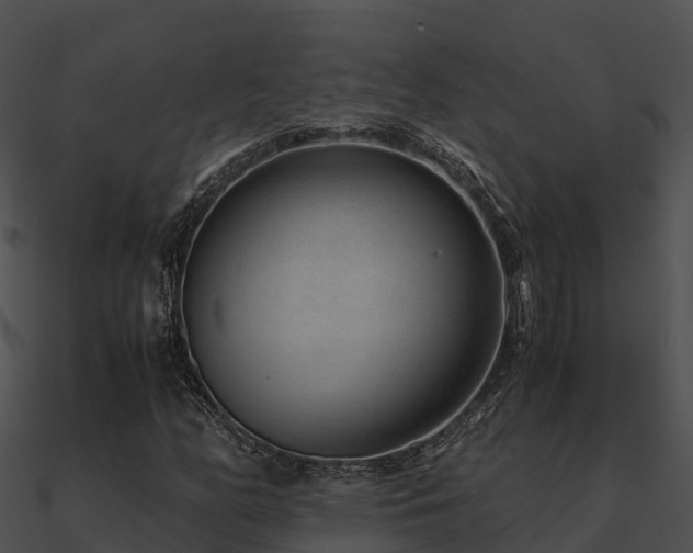 X0000090991158200708021516