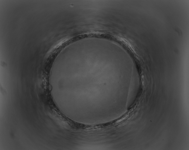X0000090991159200708021516