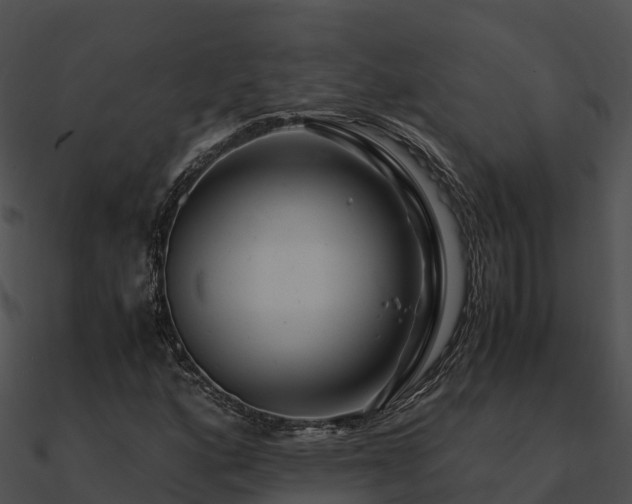 X0000090991160200708021516