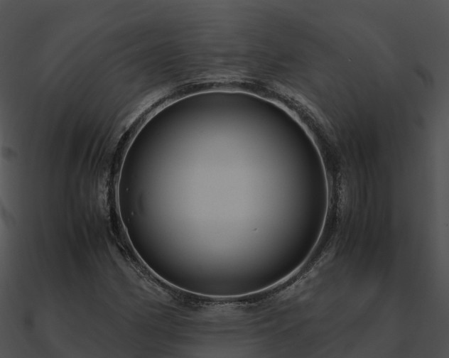 X0000090991162200708021516