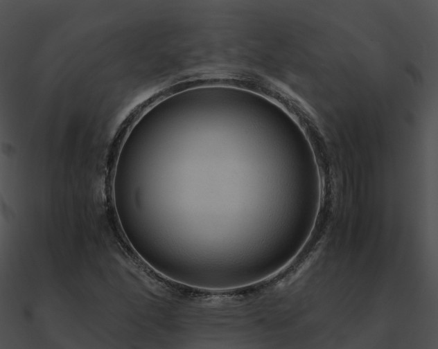 X0000090991166200708021516